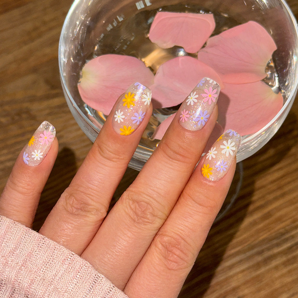 N Daisy Disco