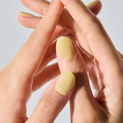 N Honey Veil