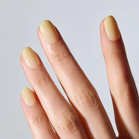 N Butter Veil