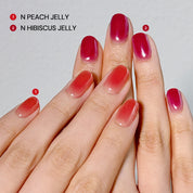 N Hibiscus Jelly