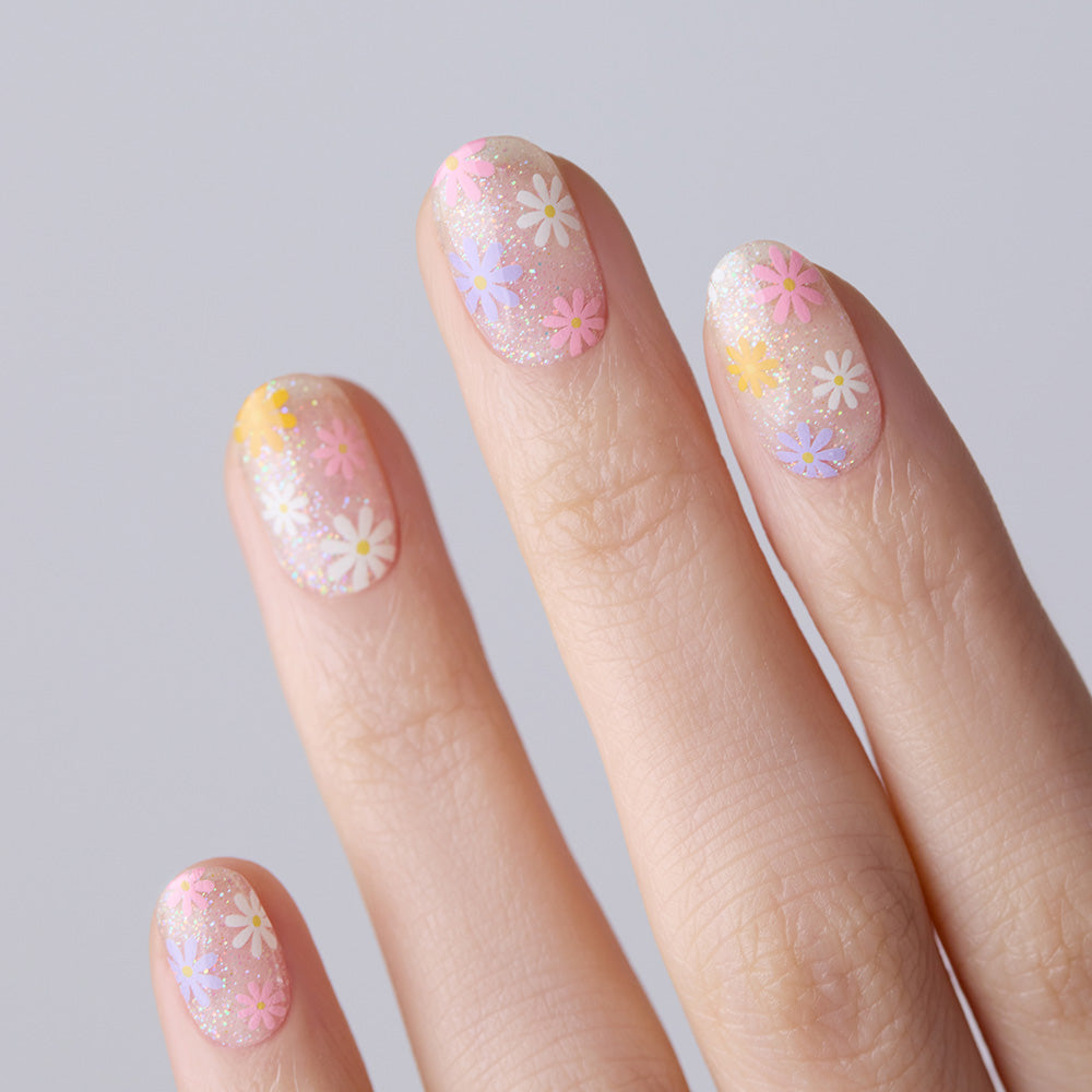 N Daisy Disco