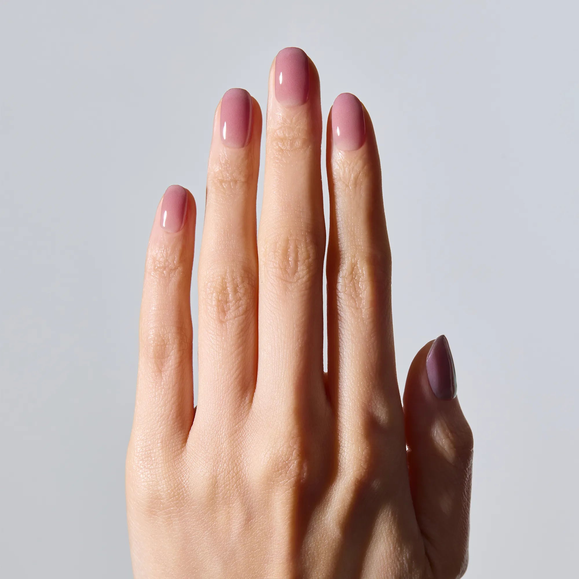 N Plum Veil